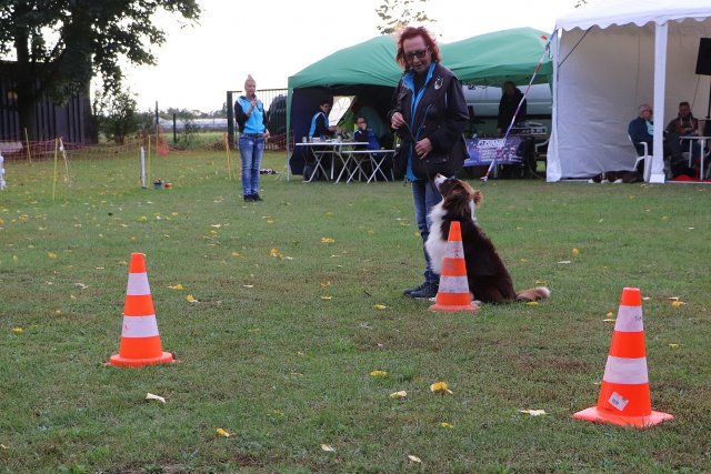 Herbstfest 2019